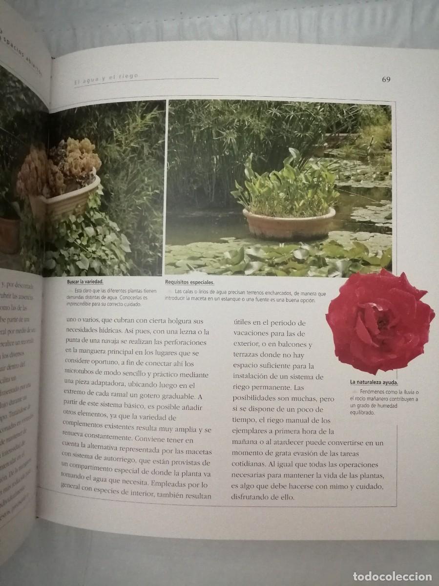 Libros de segunda mano: Atlas ilustrado de plantas en maceta - Foto 8