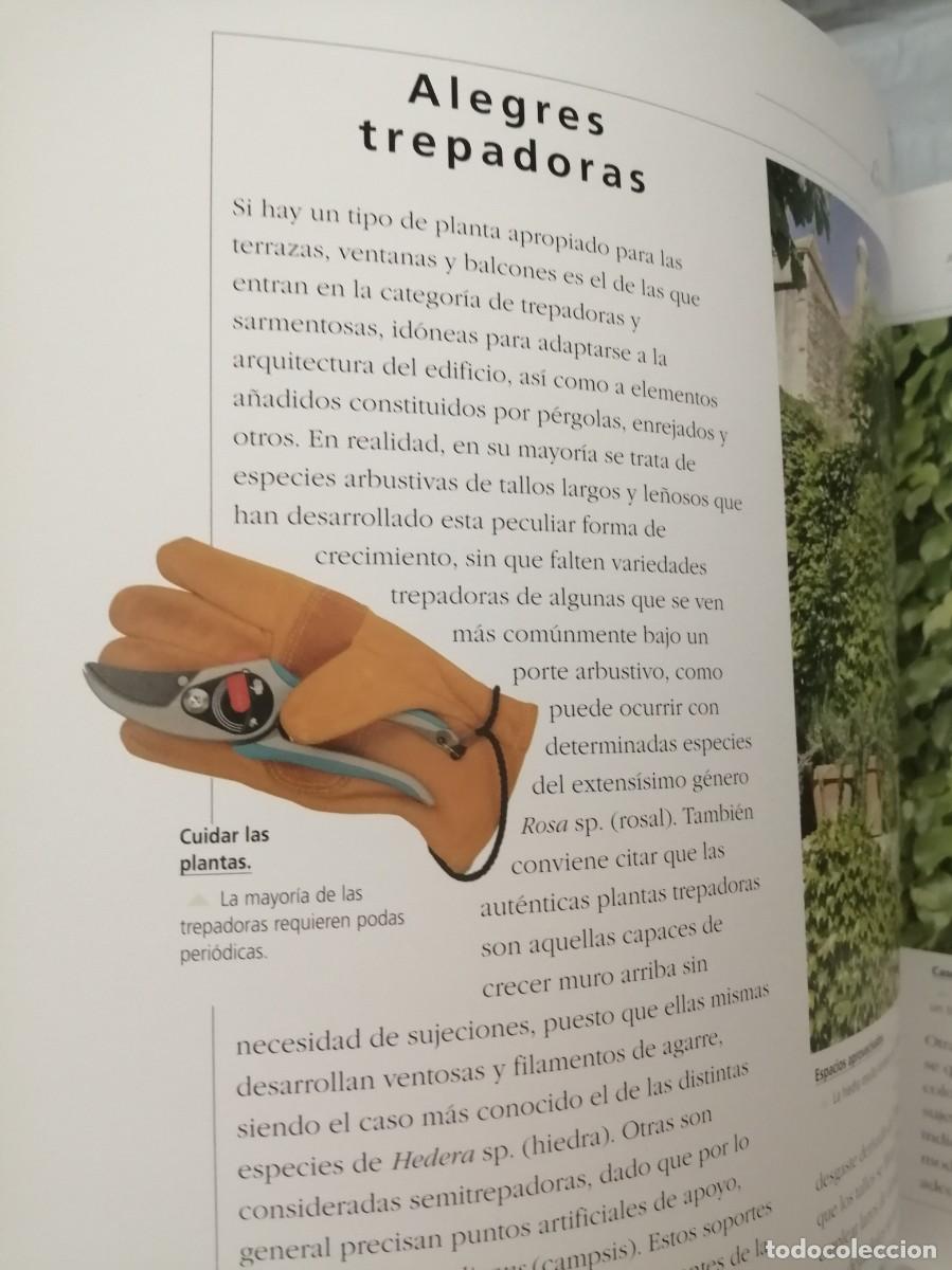 Libros de segunda mano: Atlas ilustrado de plantas en maceta - Foto 10