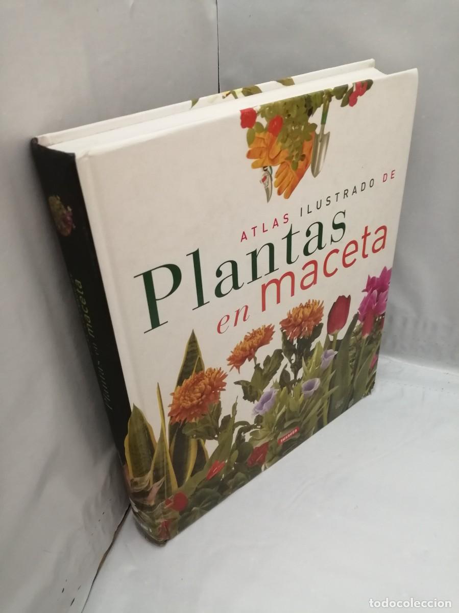 Libros de segunda mano: Atlas ilustrado de plantas en maceta - Foto 12