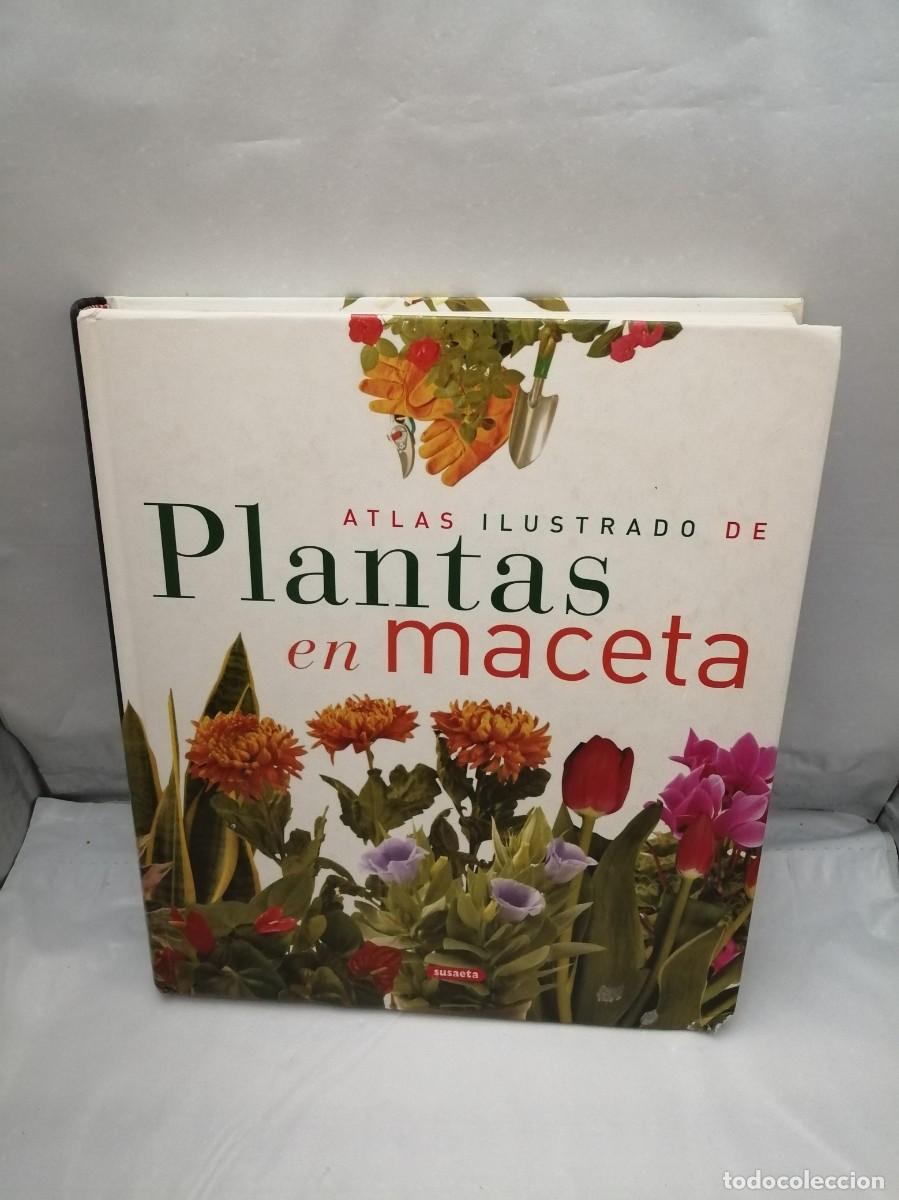 Libros de segunda mano: Atlas ilustrado de plantas en maceta - Foto 1
