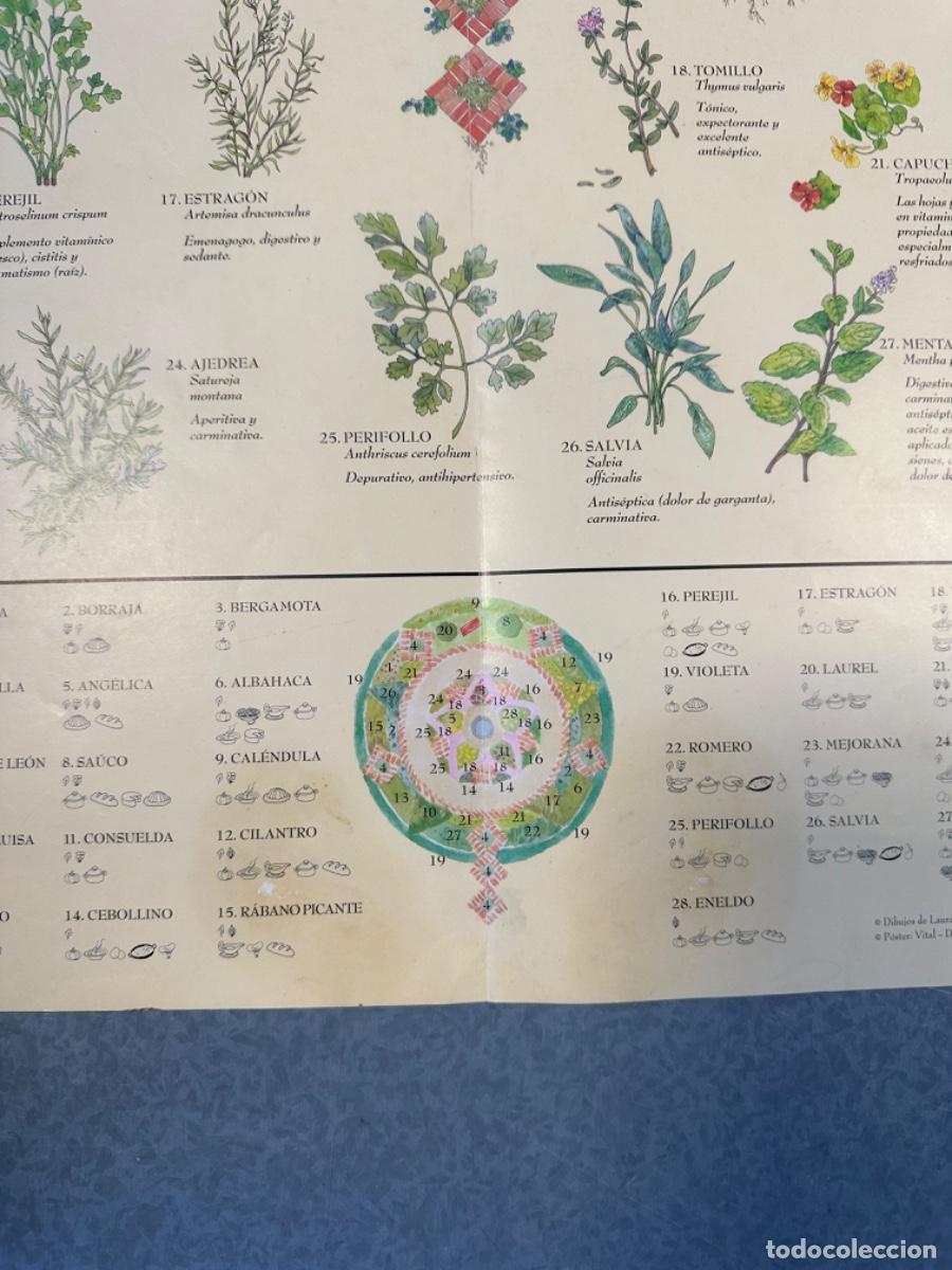 Libros de segunda mano: El Jard&iacute;n de las PLANTAS AROM&Aacute;TICAS