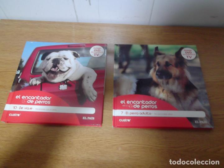 Second hand books: EL ENCANTADOR DE PERROS TOMO 7 Y 10.
