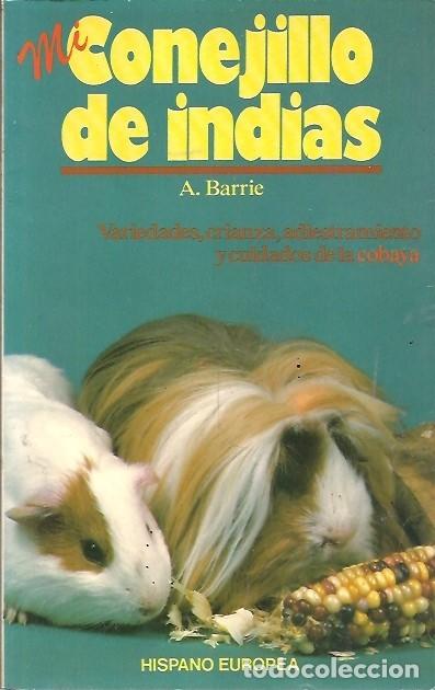 Libros de segunda mano: MI CONEJILLO DE INDIAS A BARRIE HISPANO EUROPEA - Foto 1