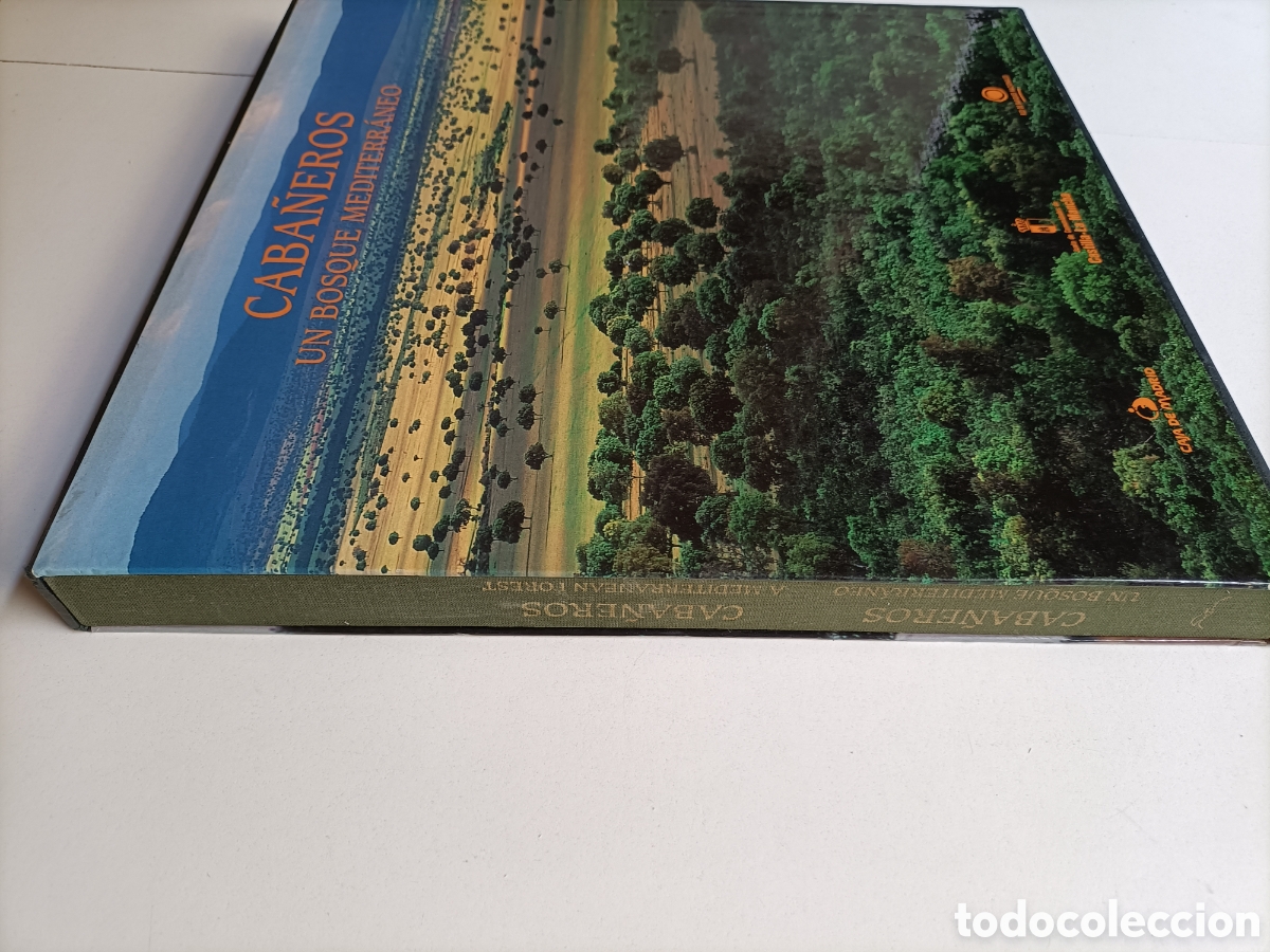 Libros de segunda mano: Caba&ntilde;eros un bosque mediterr&aacute;neo. - Foto 2