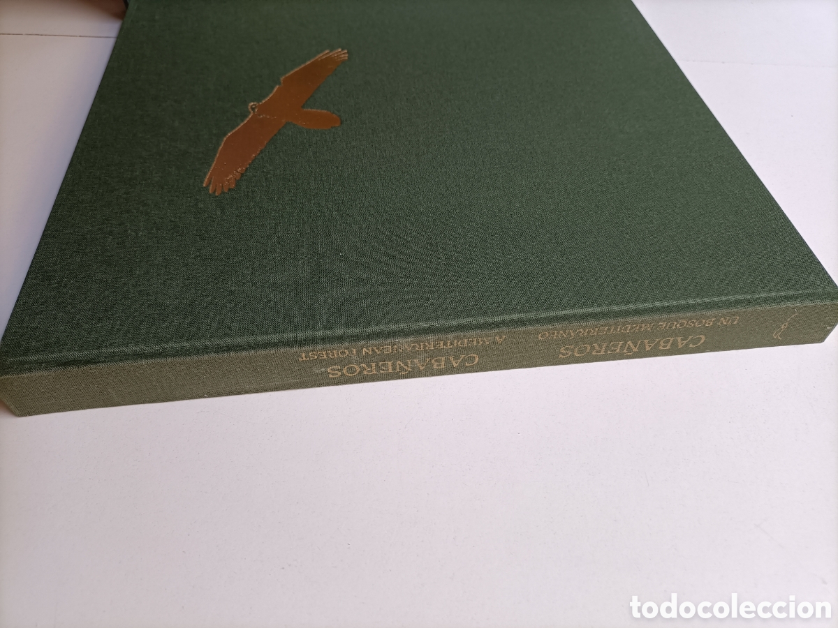 Libros de segunda mano: Caba&ntilde;eros un bosque mediterr&aacute;neo. - Foto 3