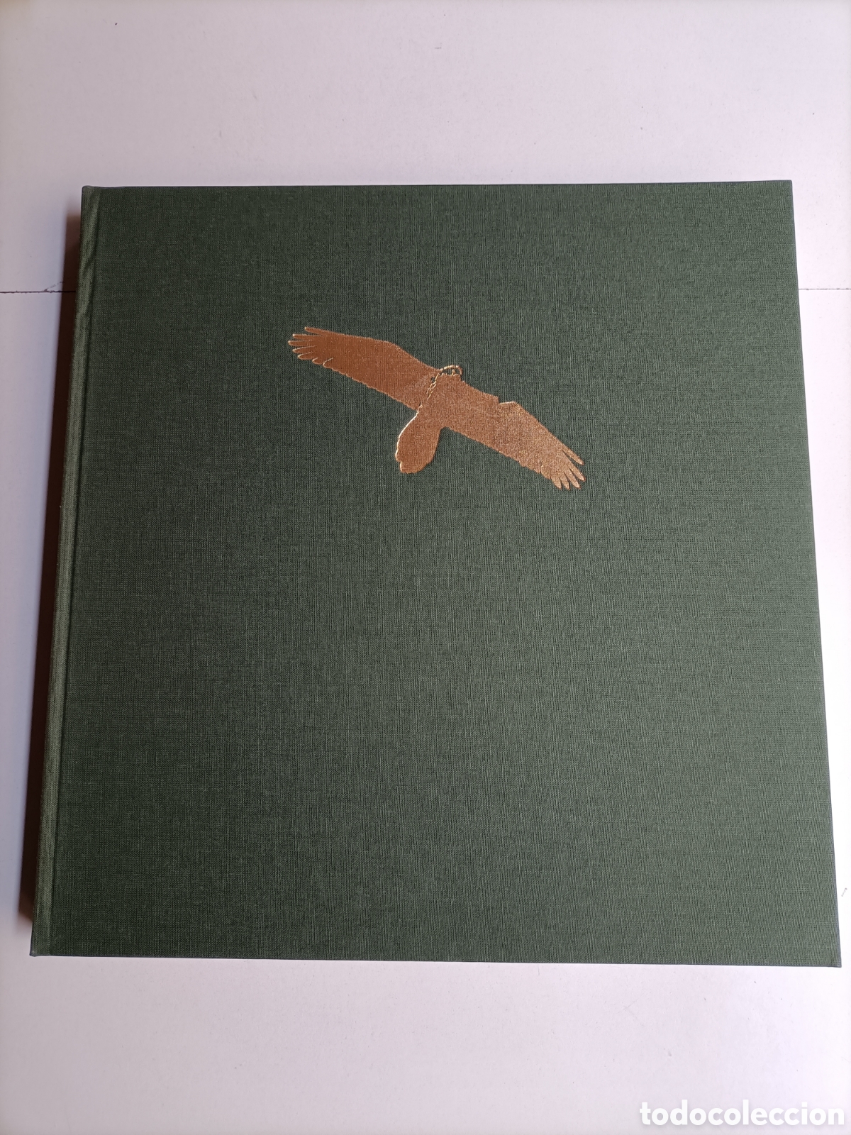Libros de segunda mano: Caba&ntilde;eros un bosque mediterr&aacute;neo. - Foto 4