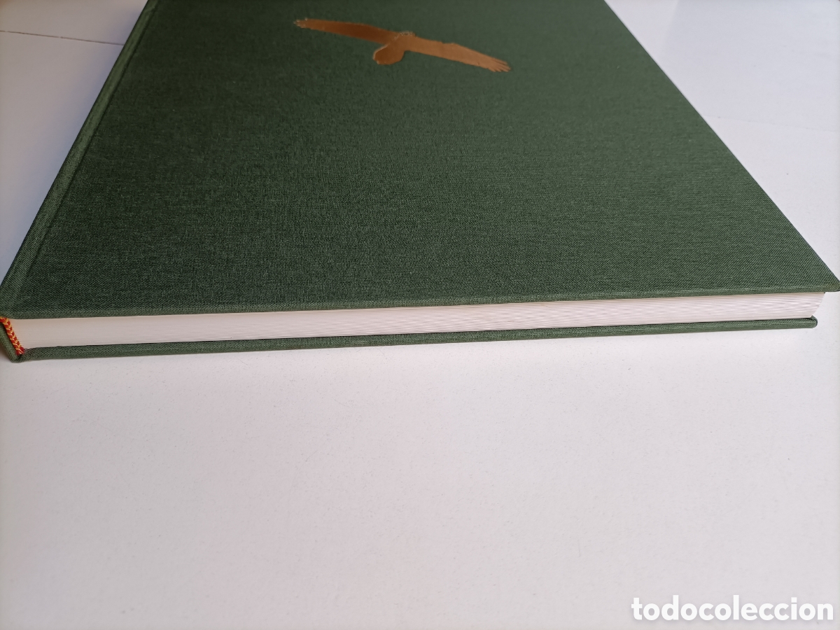 Libros de segunda mano: Caba&ntilde;eros un bosque mediterr&aacute;neo. - Foto 5