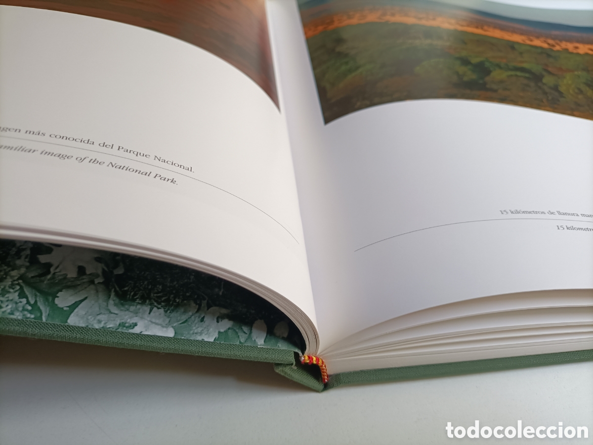 Libros de segunda mano: Caba&ntilde;eros un bosque mediterr&aacute;neo. - Foto 7