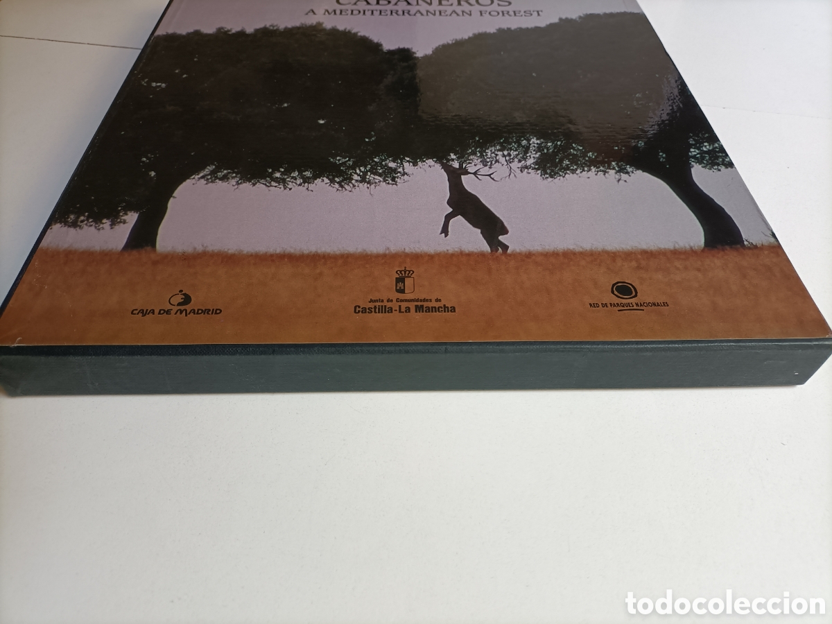 Libros de segunda mano: Caba&ntilde;eros un bosque mediterr&aacute;neo. - Foto 9