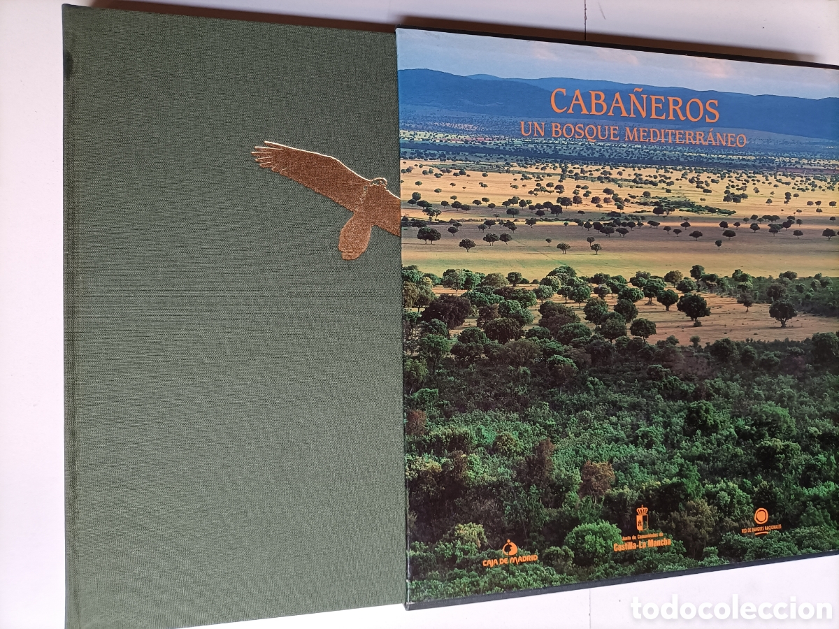 Libros de segunda mano: Caba&ntilde;eros un bosque mediterr&aacute;neo. - Foto 1