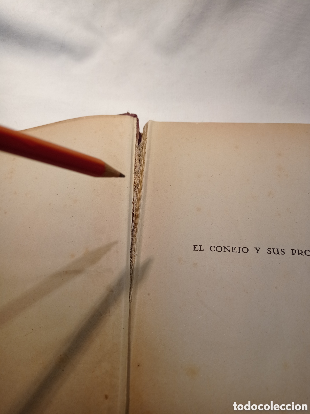 Libros de segunda mano: EL CONEJO Y SUS PRODUCTOS. SEGUNDA EDICI&Oacute;N - Foto 3