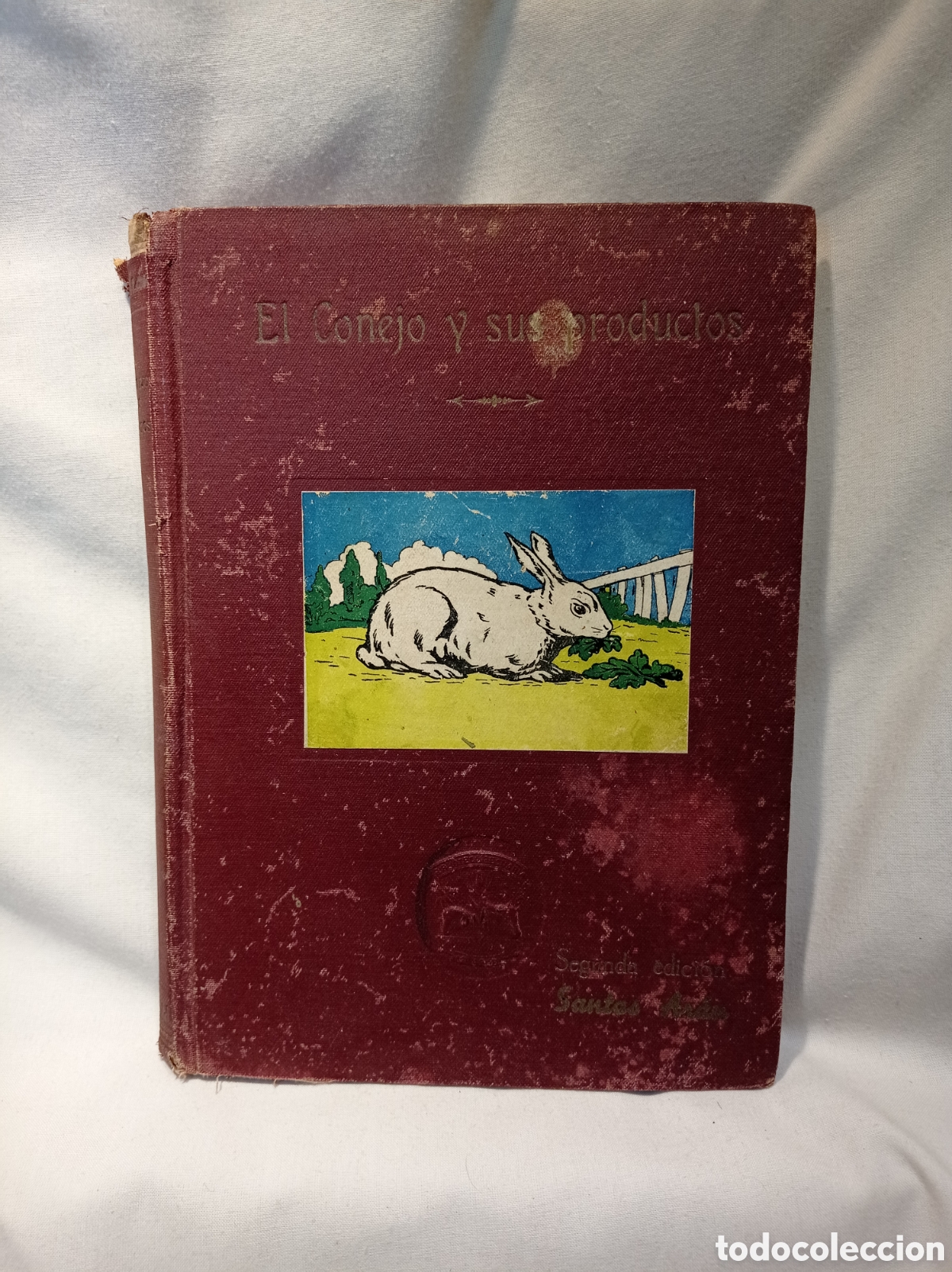 Libros de segunda mano: EL CONEJO Y SUS PRODUCTOS. SEGUNDA EDICI&Oacute;N - Foto 1