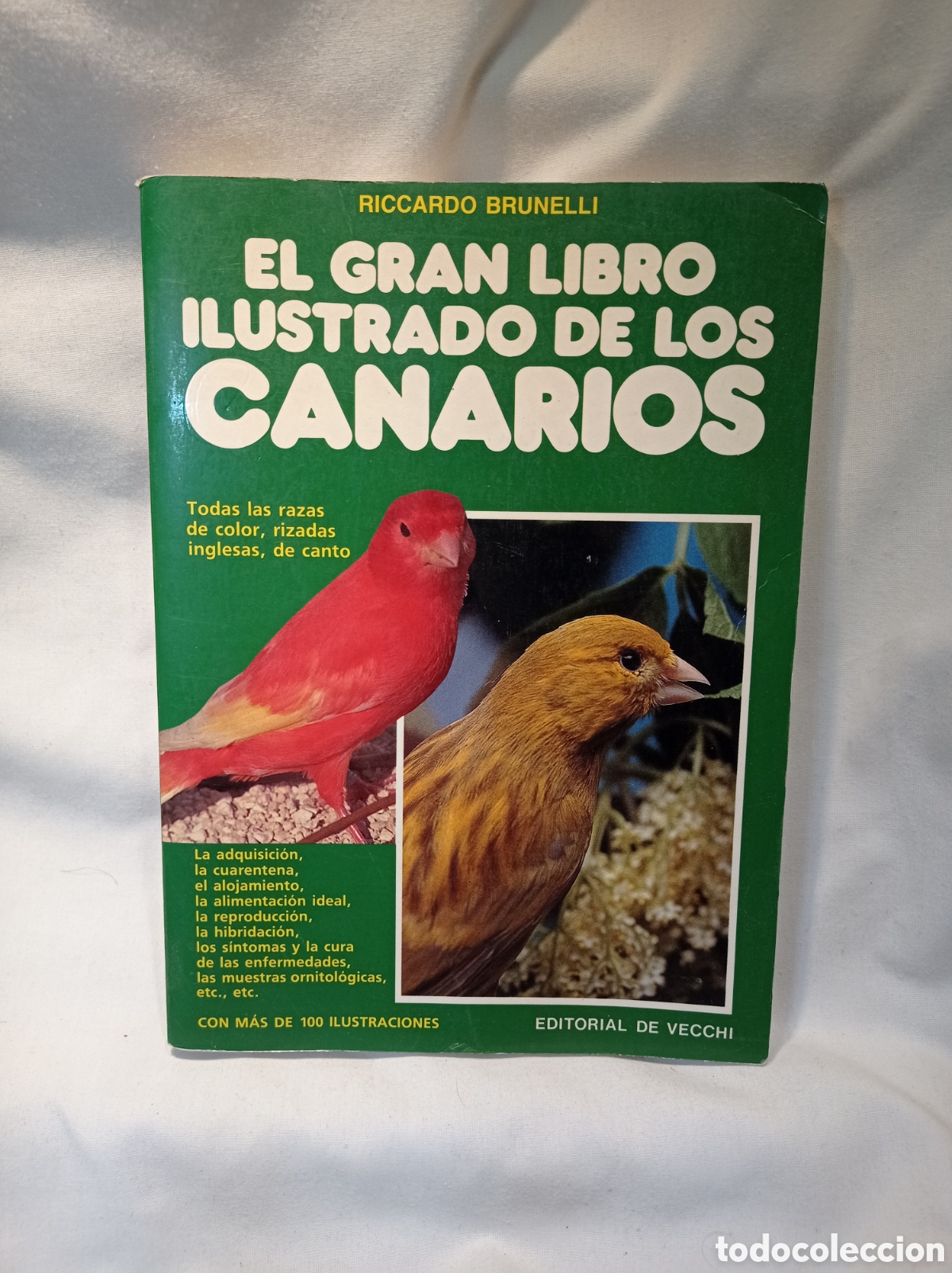 Libros de segunda mano: EL GRAN LIBRO ILUSTRADO DE LOS CANARIOS. BUEN ESTADO - Foto 1