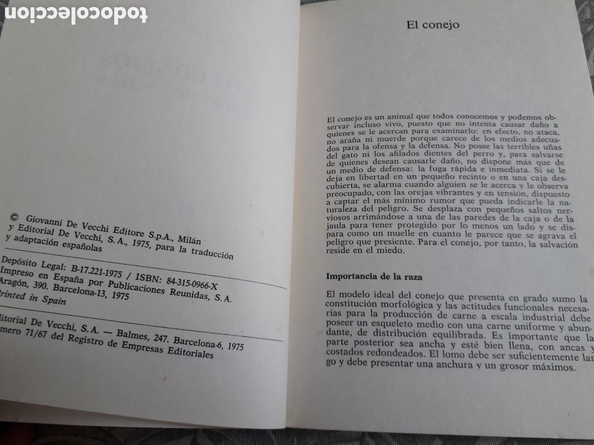 Libros de segunda mano: LOS CONEJOS, RAZAS, CRIA,CUIDADOS, R.Y.CHARD, - Foto 2