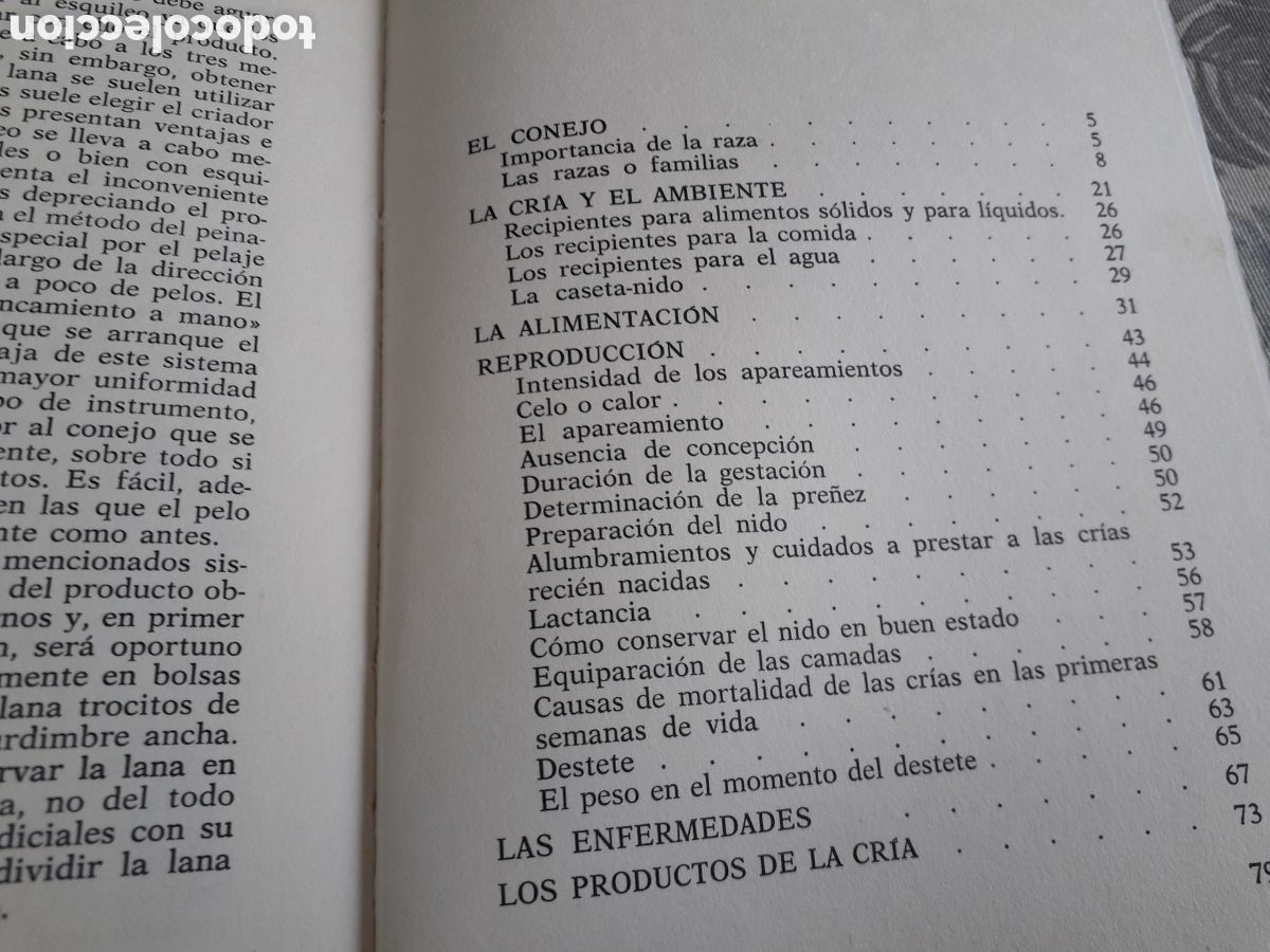 Libros de segunda mano: LOS CONEJOS, RAZAS, CRIA,CUIDADOS, R.Y.CHARD, - Foto 4