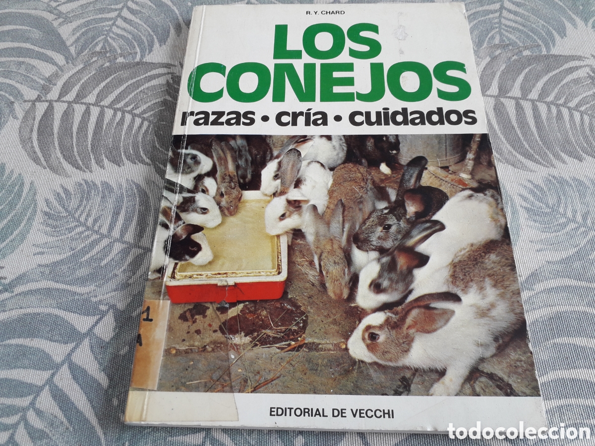 Libros de segunda mano: LOS CONEJOS, RAZAS, CRIA,CUIDADOS, R.Y.CHARD, - Foto 1