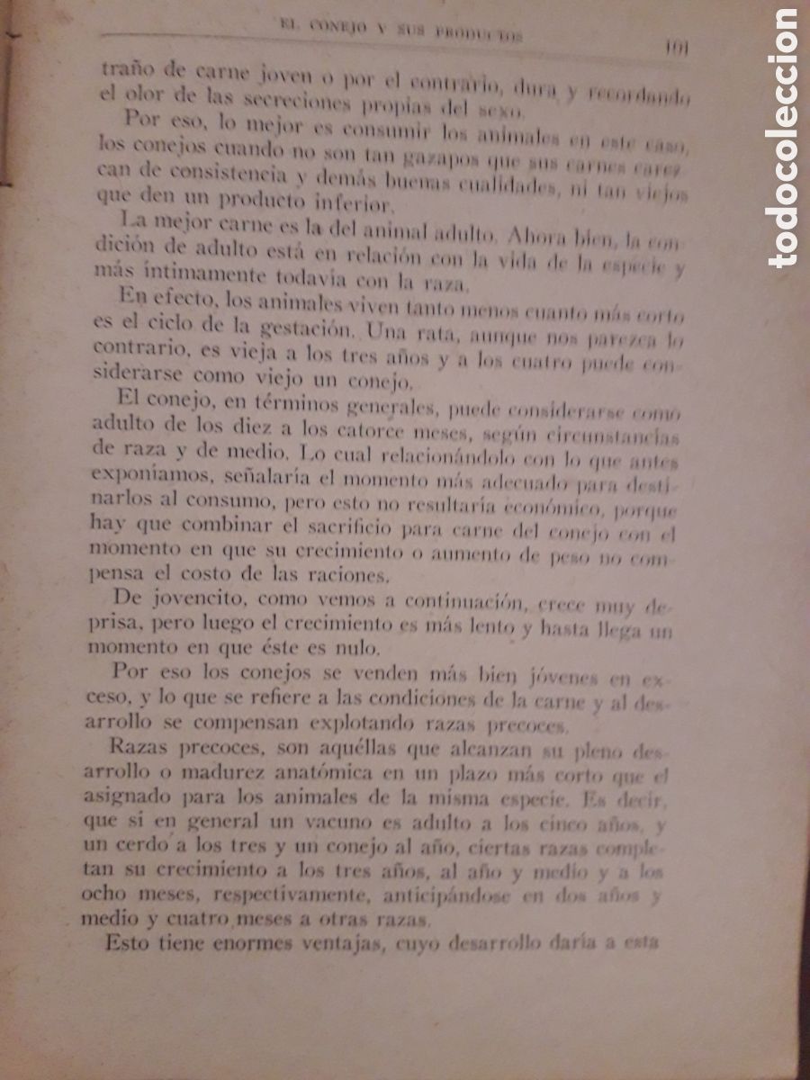 Libros de segunda mano: El Conejo y sus Productos . Santos Ar&aacute;n - Foto 3