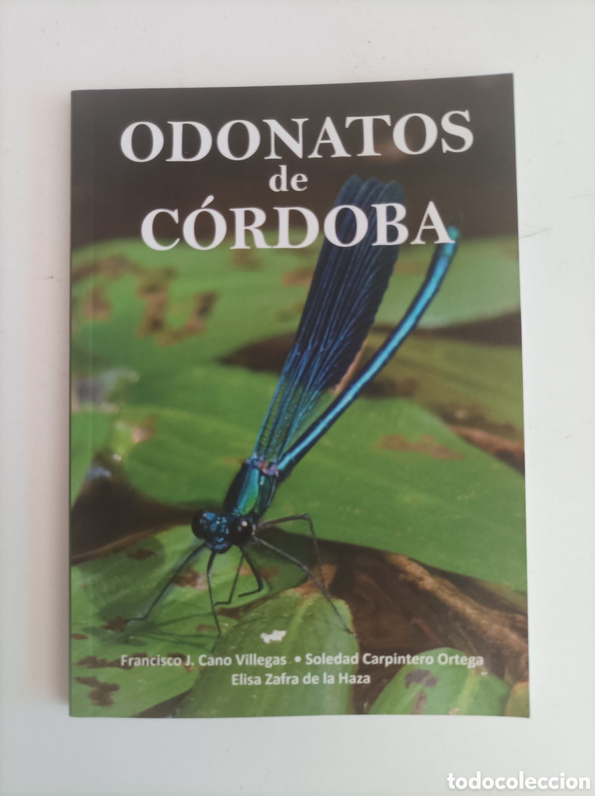 Second hand books: Odonatos de C&oacute;rdoba / Francisco J Cano Villegas, Soledad Carpintero Ortega y Elisa Zafra de la Harza