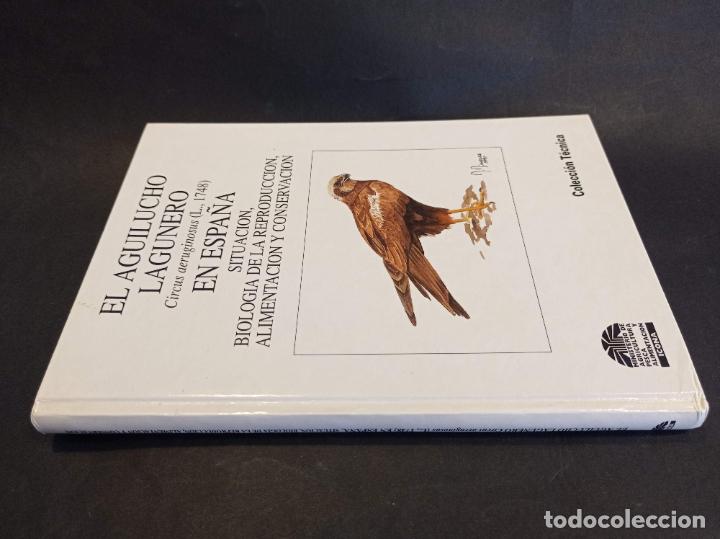 Second hand books: 1991 - JOS&Eacute; LUIS GONZ&Aacute;LEZ L&Oacute;PEZ. El aguilucho lagunero en Espa&ntilde;a