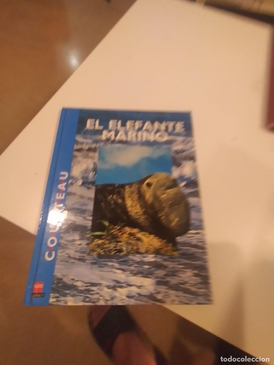 Libros de segunda mano: G-27 LIBRO LOTE DE 4 LIBROS DE COUSTEAU - Foto 1