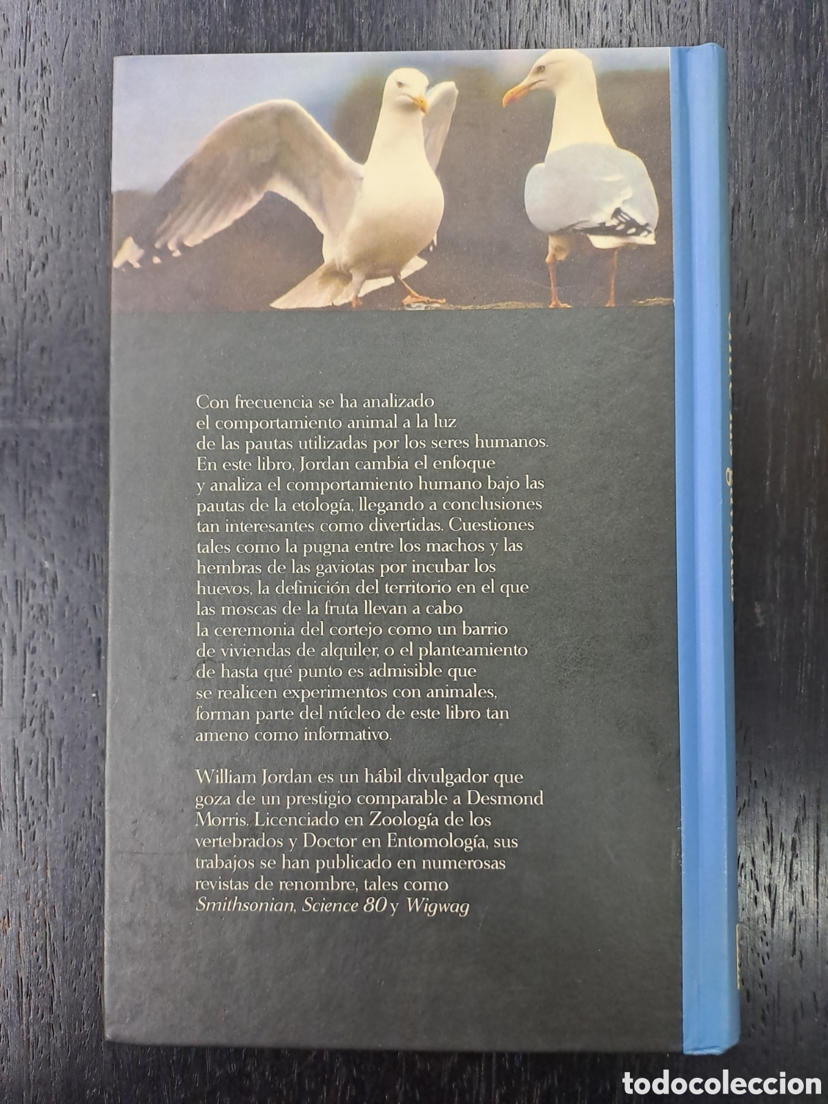 Libros de segunda mano: El divorcio entre las gaviotas - William Jordan - Salvat - Foto 2