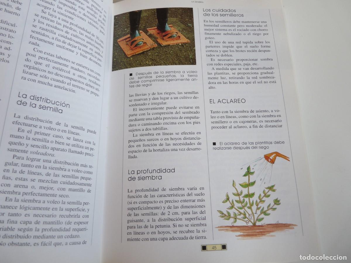 Libros de segunda mano: El libro del jard&iacute;n Fausta Mainardi Fazio - Foto 3