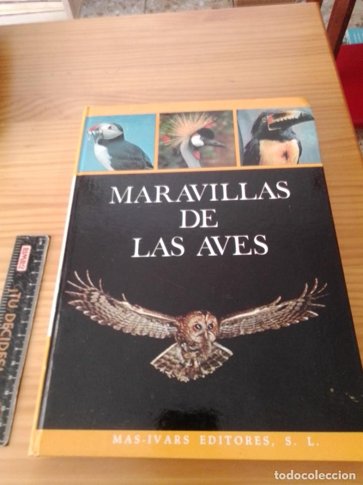 Libros de segunda mano: MARAVILLAS DE LAS AVES - Han Rensenbrink - Foto 1