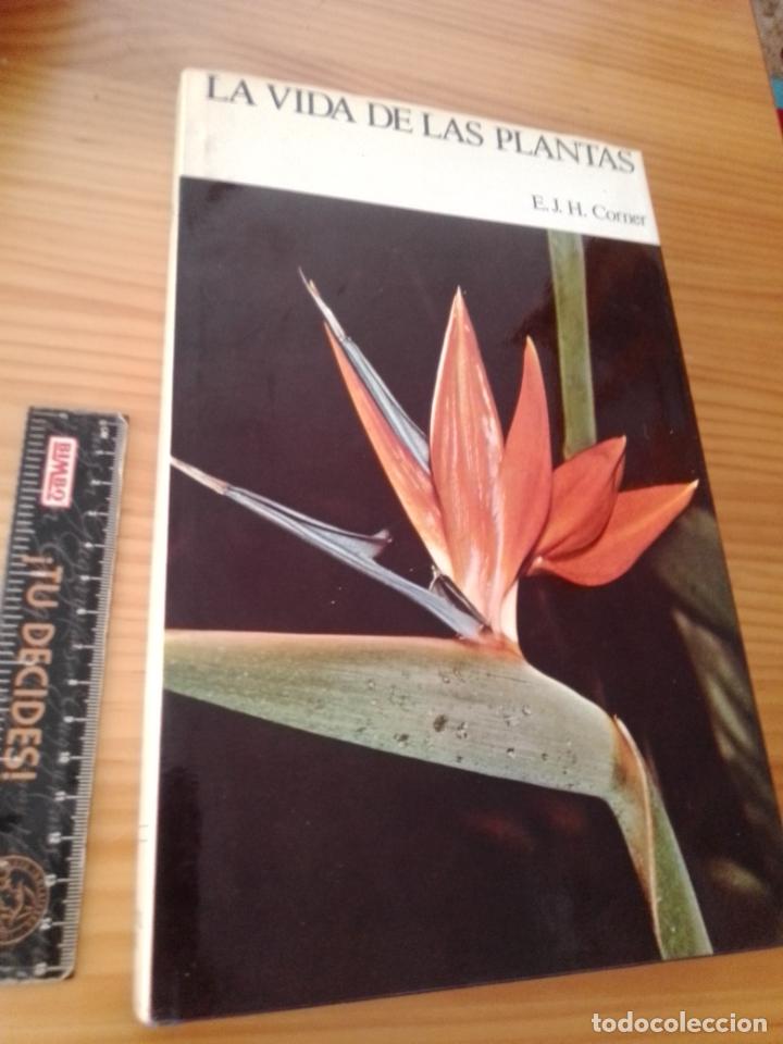 Libros de segunda mano: La vida de las plantas.- Corner, Edred John Henry - Foto 1