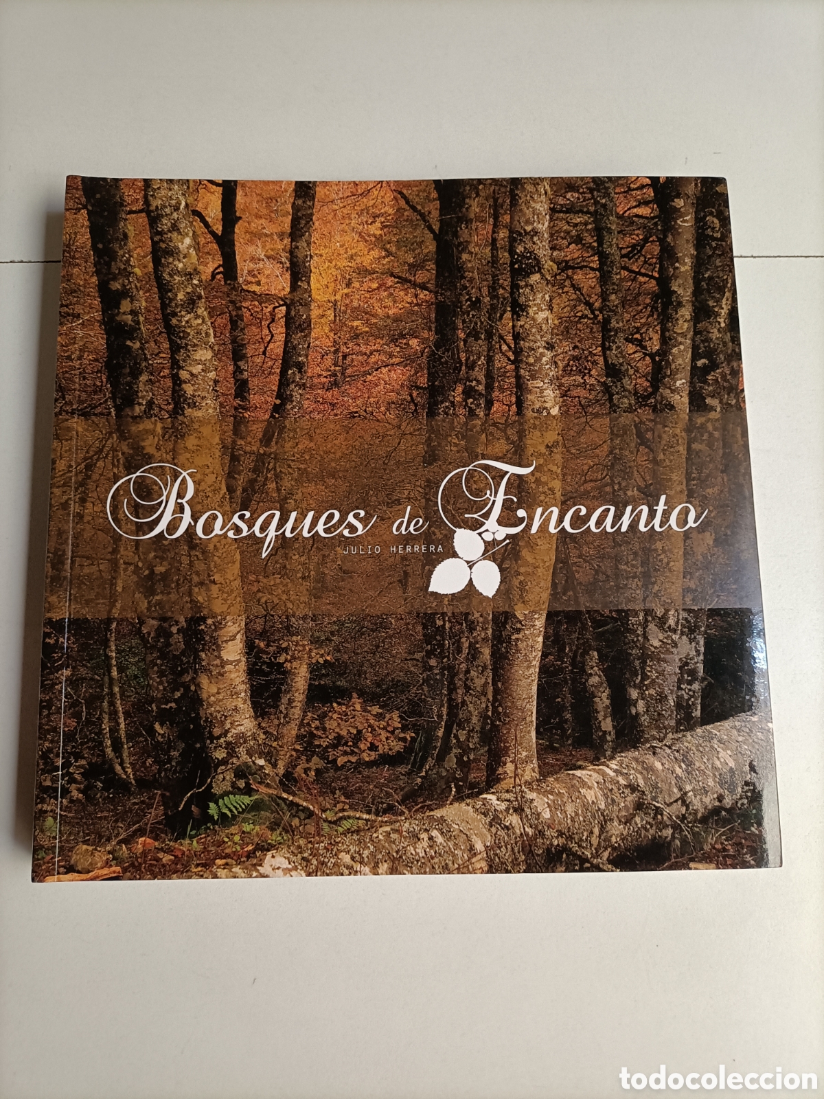 Libros de segunda mano: Bosques de encanto Julio Herrera - Foto 2