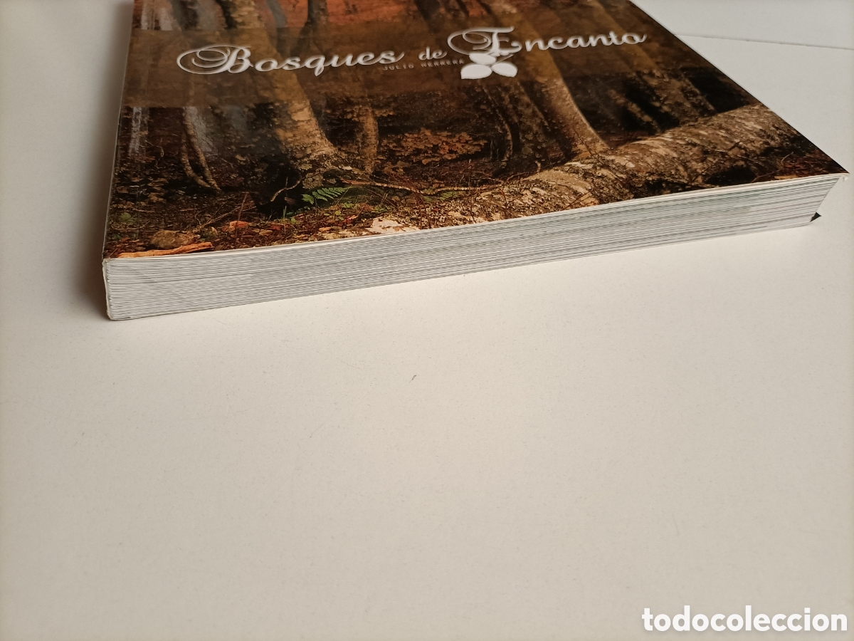 Libros de segunda mano: Bosques de encanto Julio Herrera - Foto 3