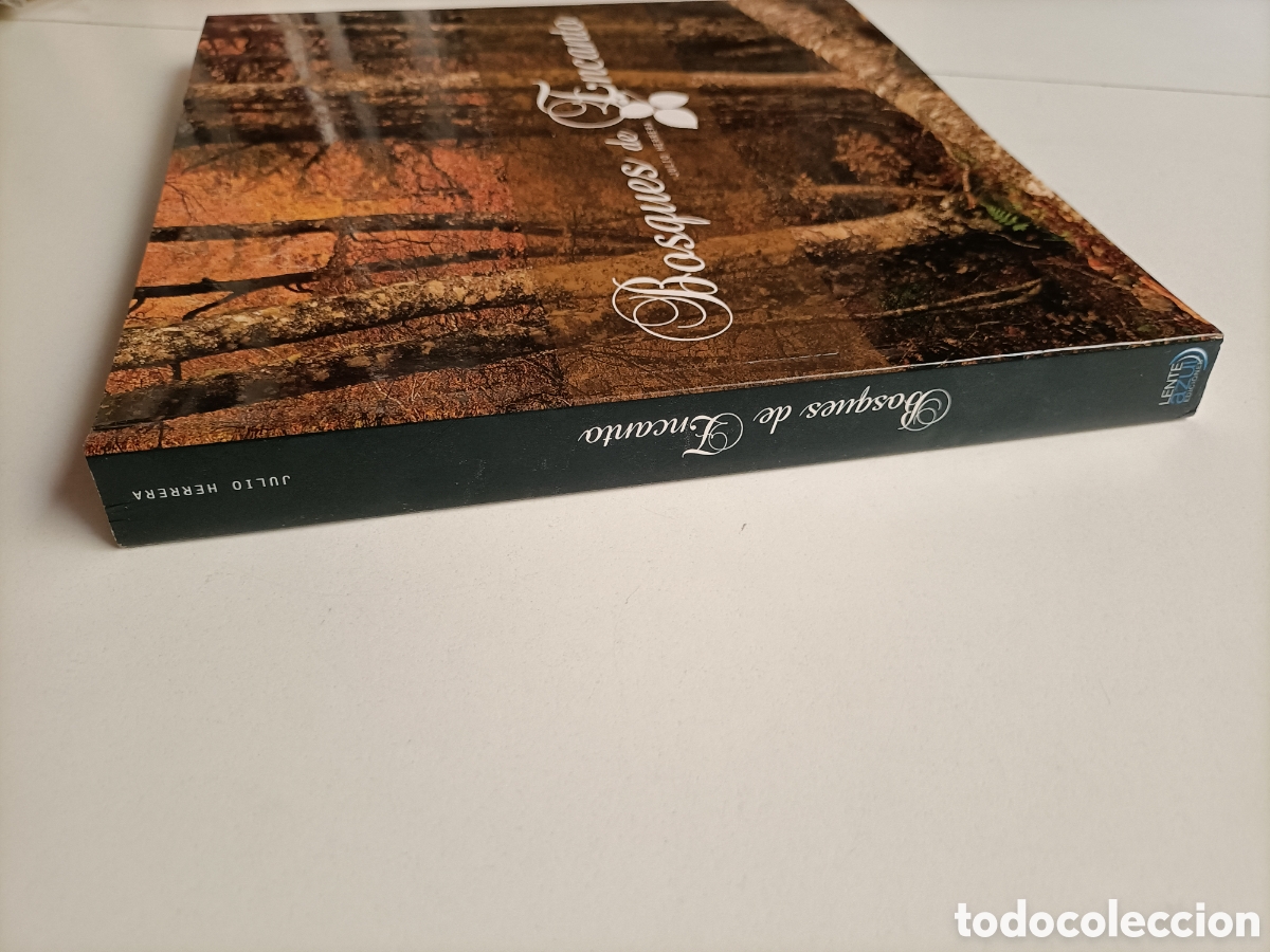 Libros de segunda mano: Bosques de encanto Julio Herrera - Foto 4