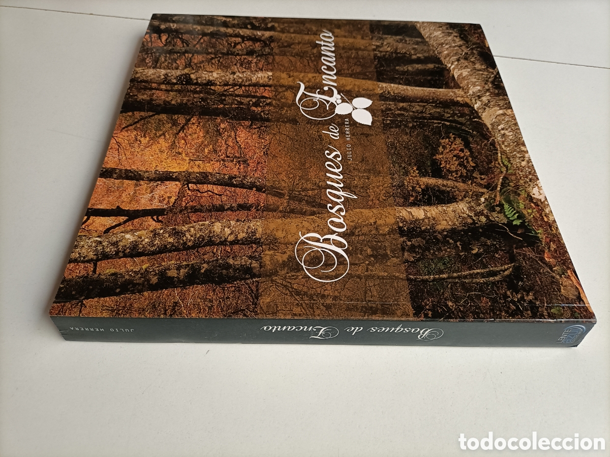 Libros de segunda mano: Bosques de encanto Julio Herrera - Foto 1