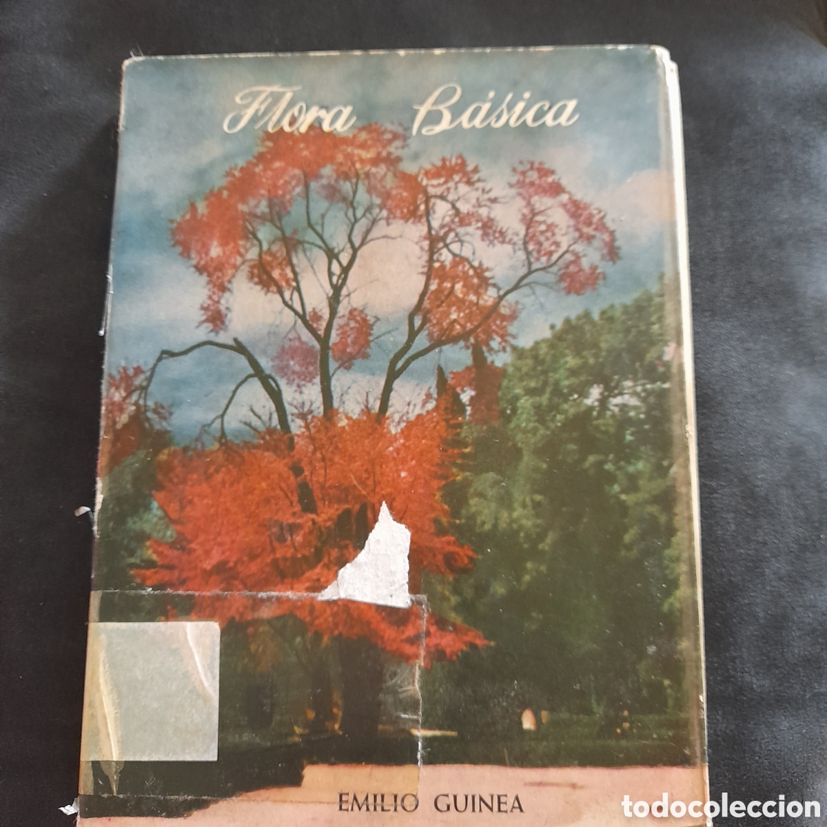 Libros de segunda mano: Flora b&aacute;sica. Emilio Guinea - Foto 1