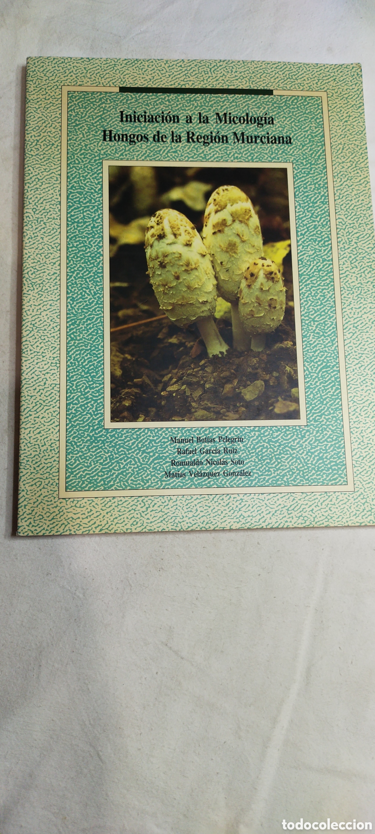 Second hand books: Iniciaci&oacute;n a la micolog&iacute;a hongos de la regi&oacute;n murciana