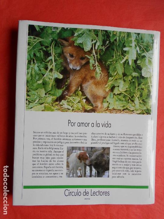 Libros de segunda mano: FAUNA HERIDA JOAQUIN ARAUJO - Foto 2