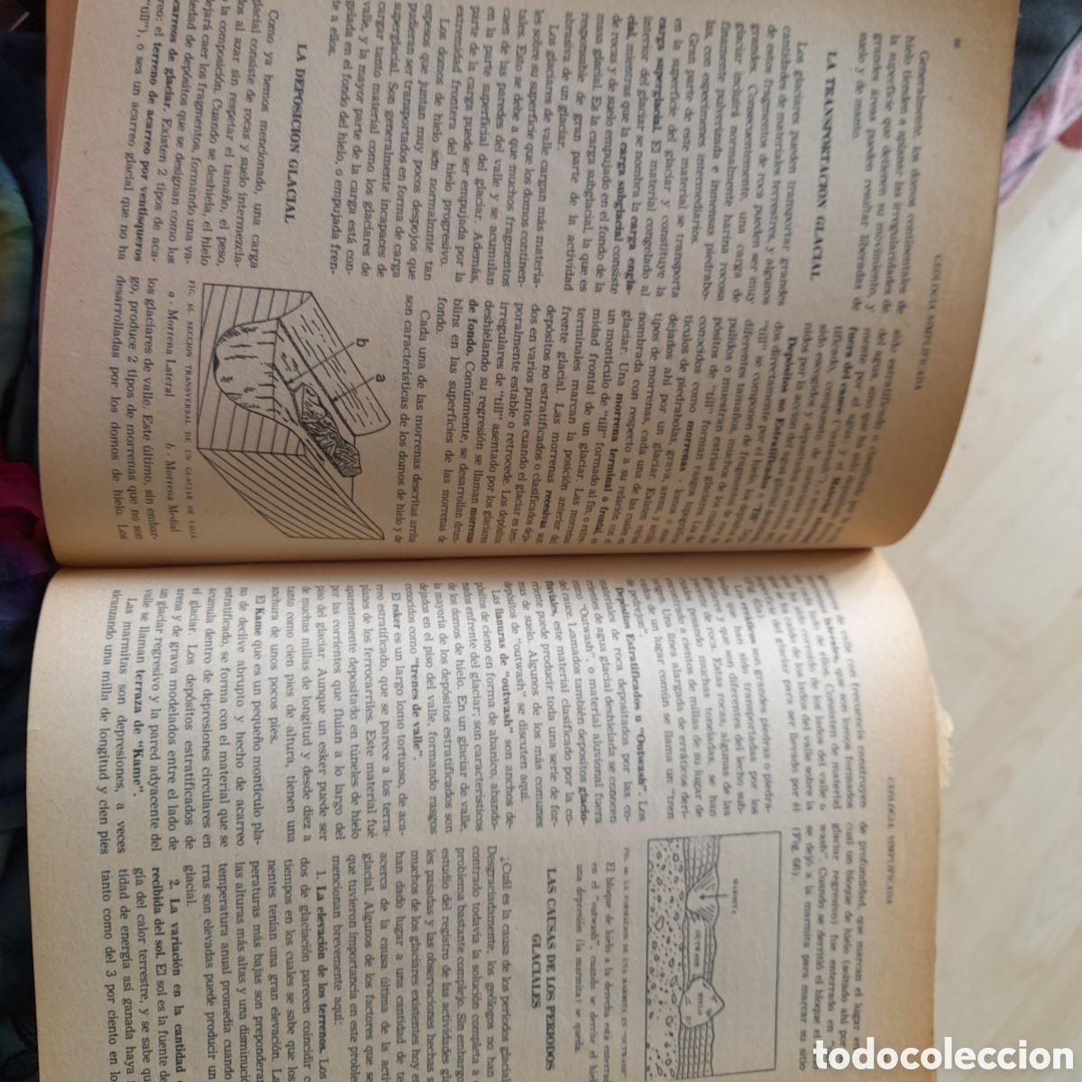 Libros de segunda mano: Geolog&iacute;a simplificada. William H. Martes III - Foto 4