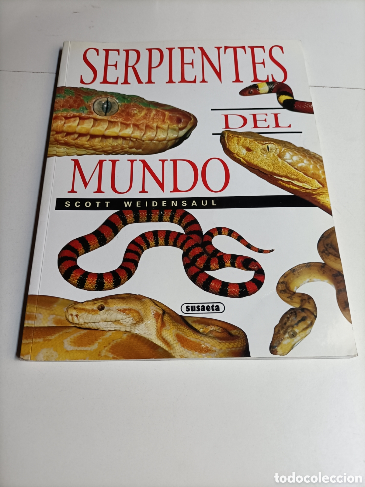 Libros de segunda mano: Serpientes del mundo Scott Weidensaul - Foto 2