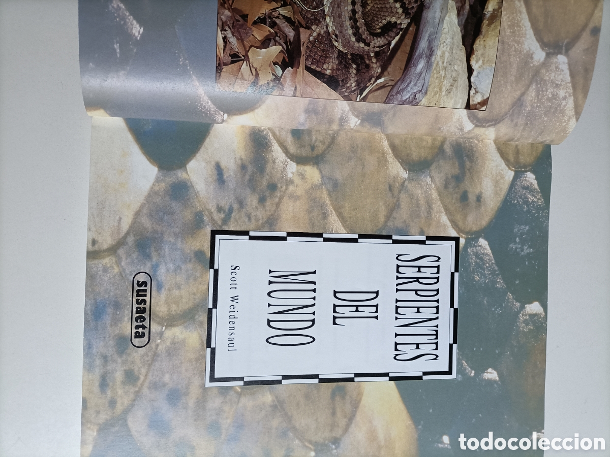 Libros de segunda mano: Serpientes del mundo Scott Weidensaul - Foto 6