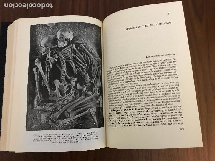 Libros de segunda mano: TRAS LAS HUELLAS DE AD&Aacute;N ,HERBERT WENDT , EDITORIAL NOGUER - Foto 4