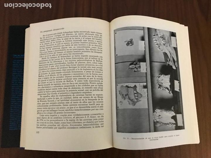 Libros de segunda mano: TRAS LAS HUELLAS DE AD&Aacute;N ,HERBERT WENDT , EDITORIAL NOGUER - Foto 5