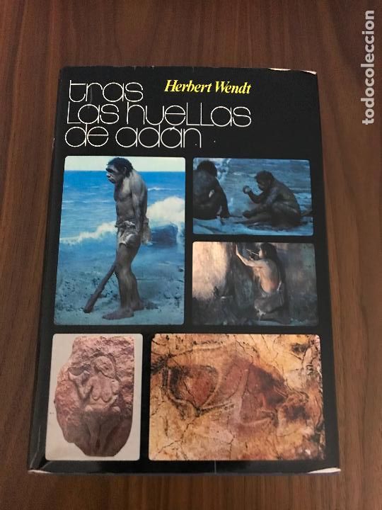 Libros de segunda mano: TRAS LAS HUELLAS DE AD&Aacute;N ,HERBERT WENDT , EDITORIAL NOGUER - Foto 1