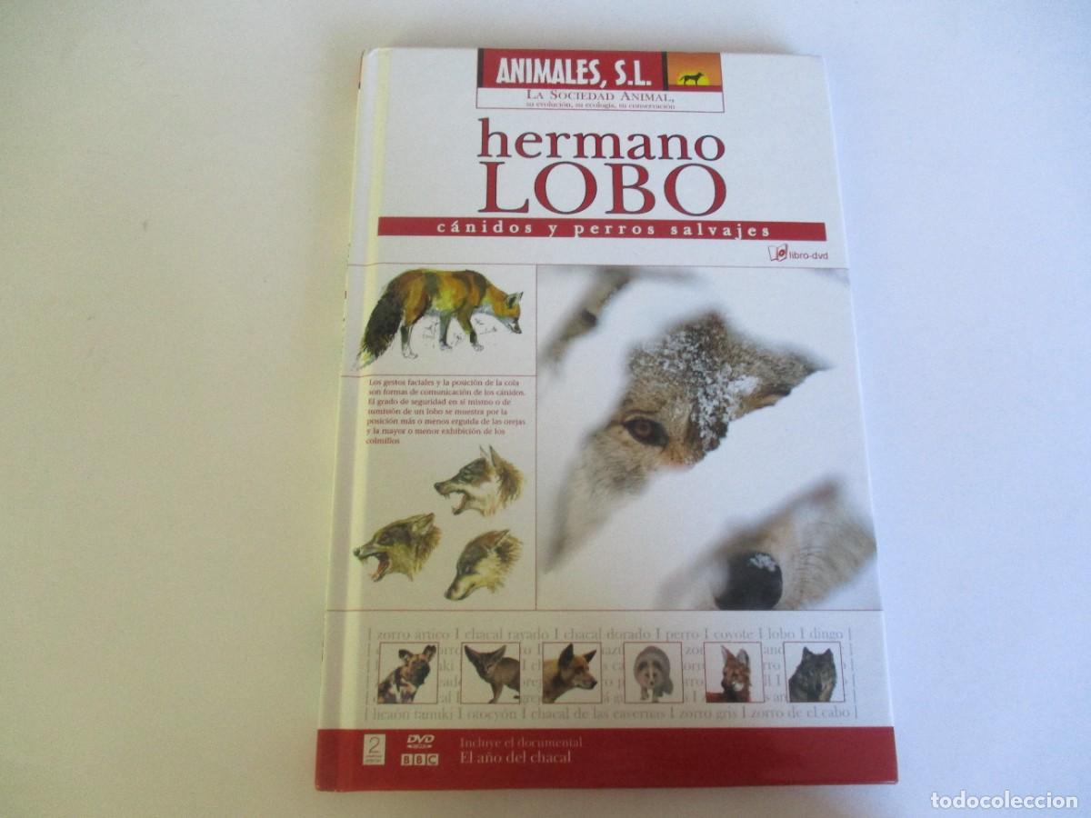 Libros de segunda mano: ANIMALES S.L. Hermano lobo W12274 - Foto 1