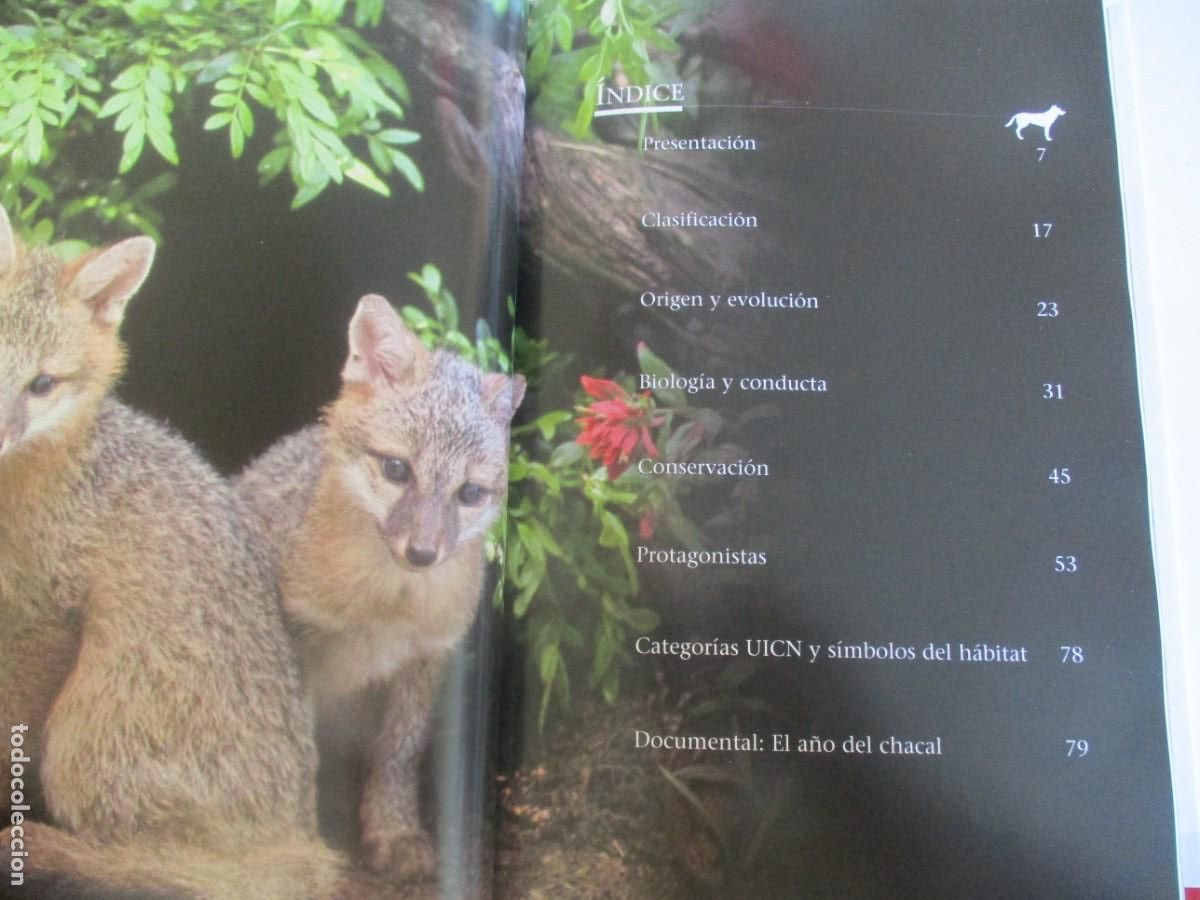 Libros de segunda mano: ANIMALES S.L. Hermano lobo W12274 - Foto 2