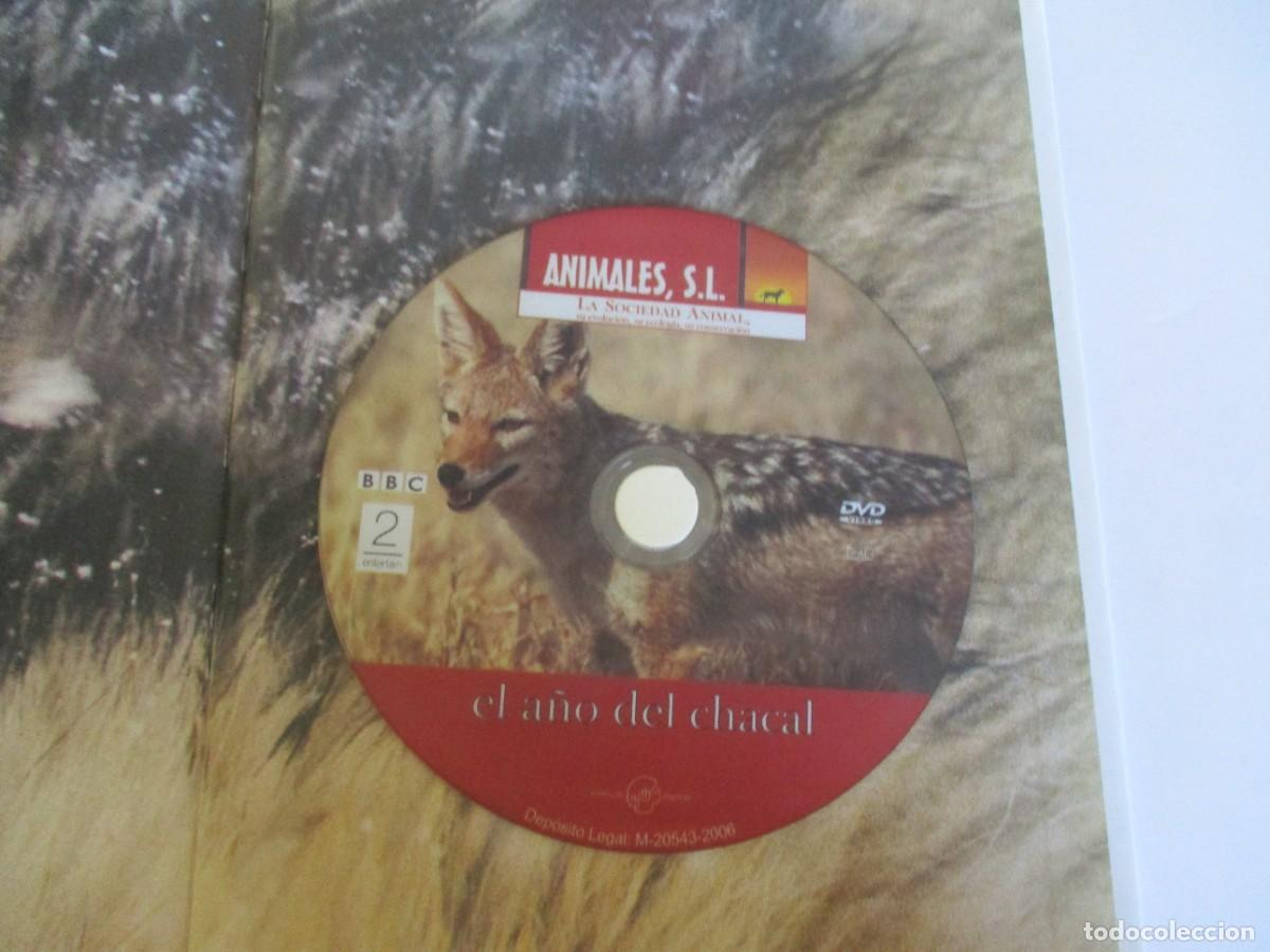 Libros de segunda mano: ANIMALES S.L. Hermano lobo W12274 - Foto 5
