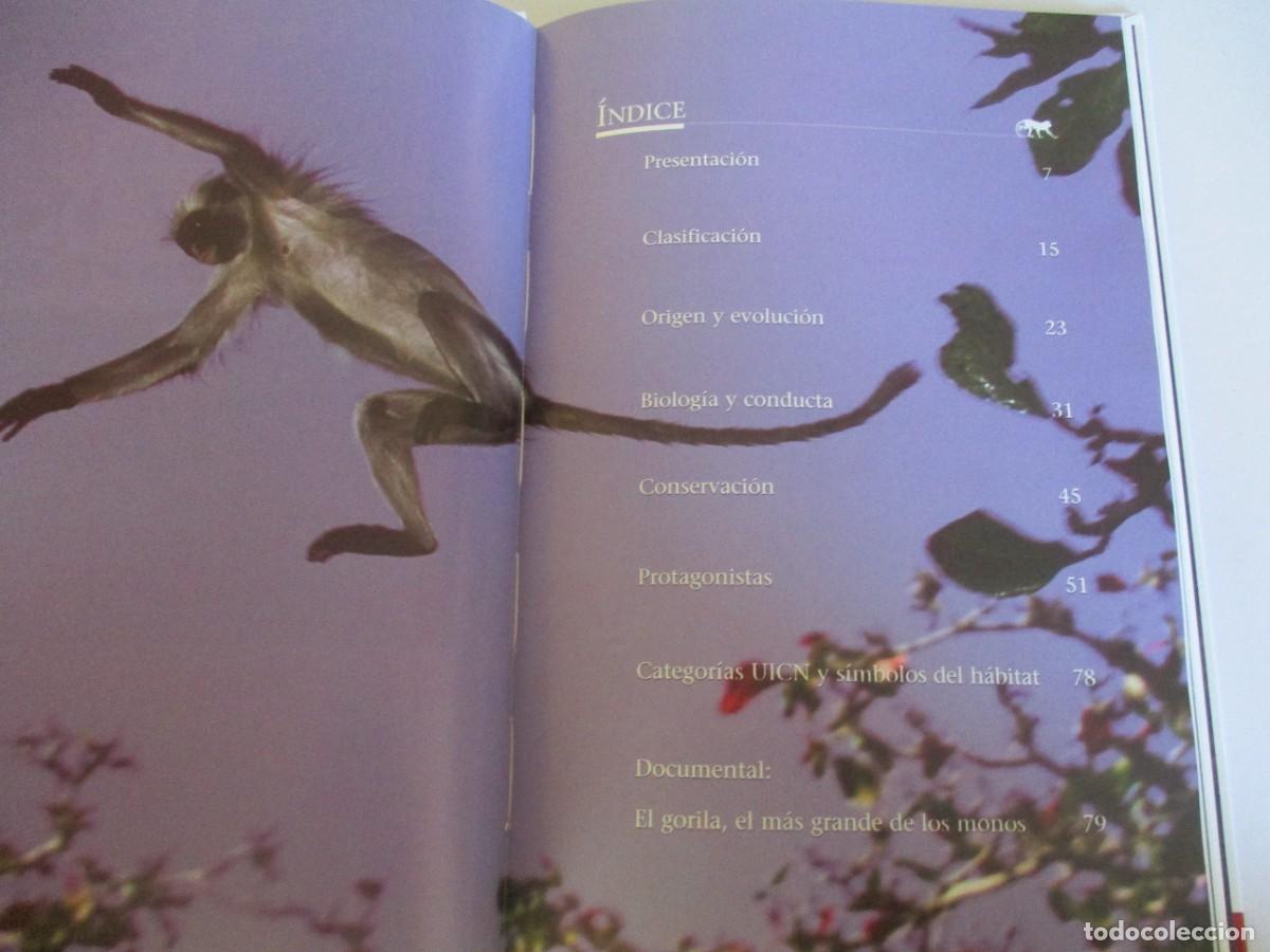 Libros de segunda mano: ANIMALES S.L. El planeta de los simios. Prosimios, monos y simios W22278 - Foto 2