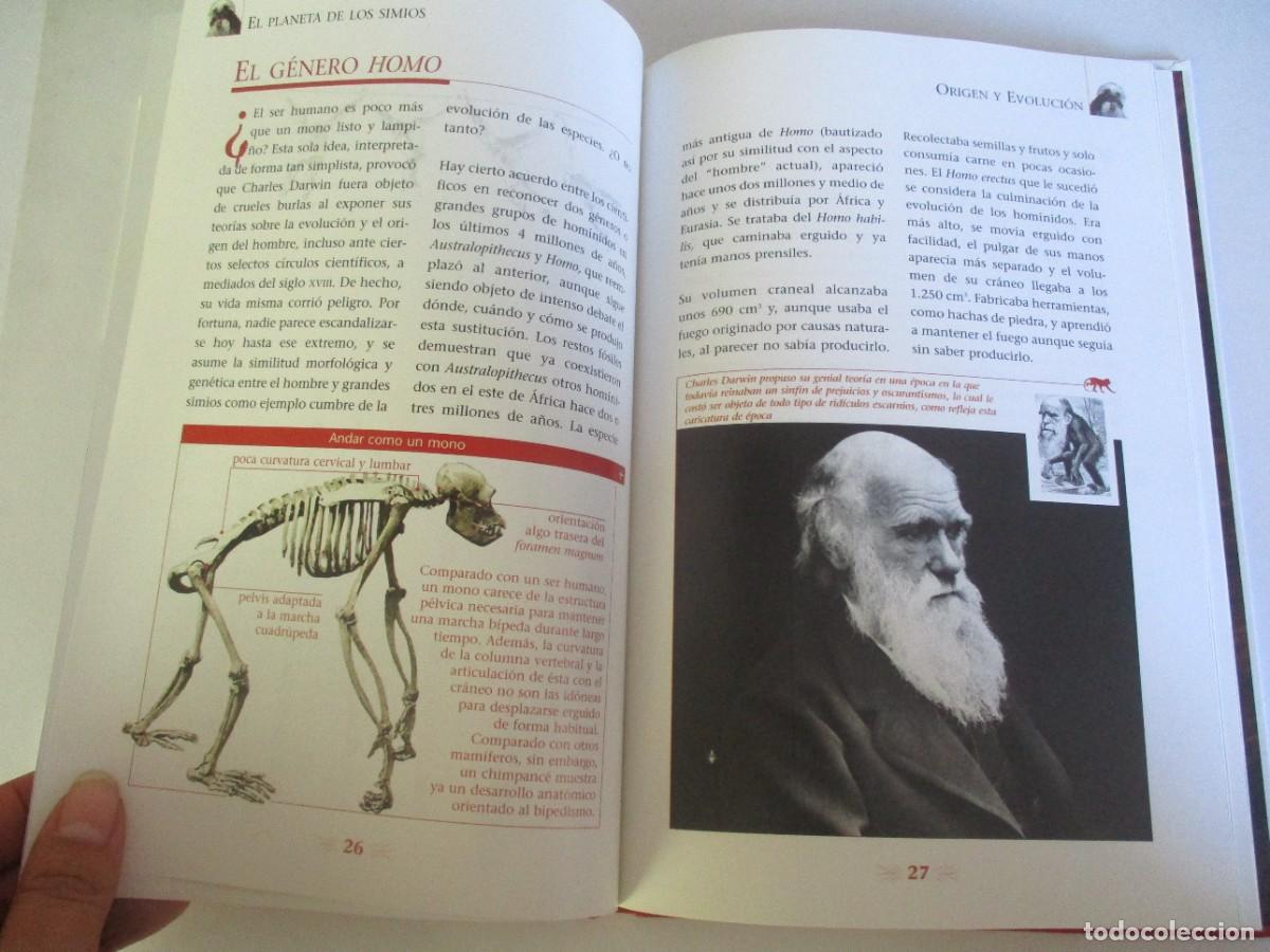 Libros de segunda mano: ANIMALES S.L. El planeta de los simios. Prosimios, monos y simios W22278 - Foto 4