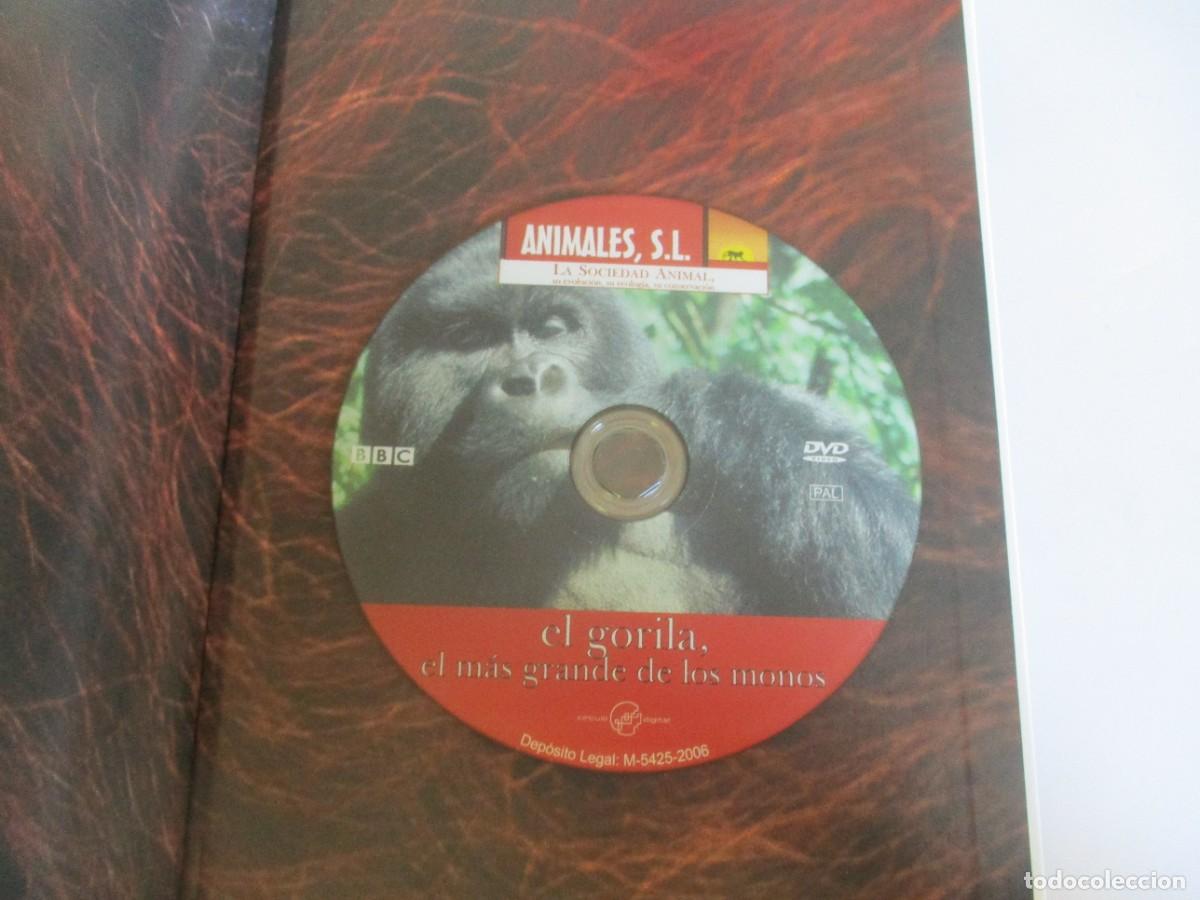 Libros de segunda mano: ANIMALES S.L. El planeta de los simios. Prosimios, monos y simios W22278 - Foto 5