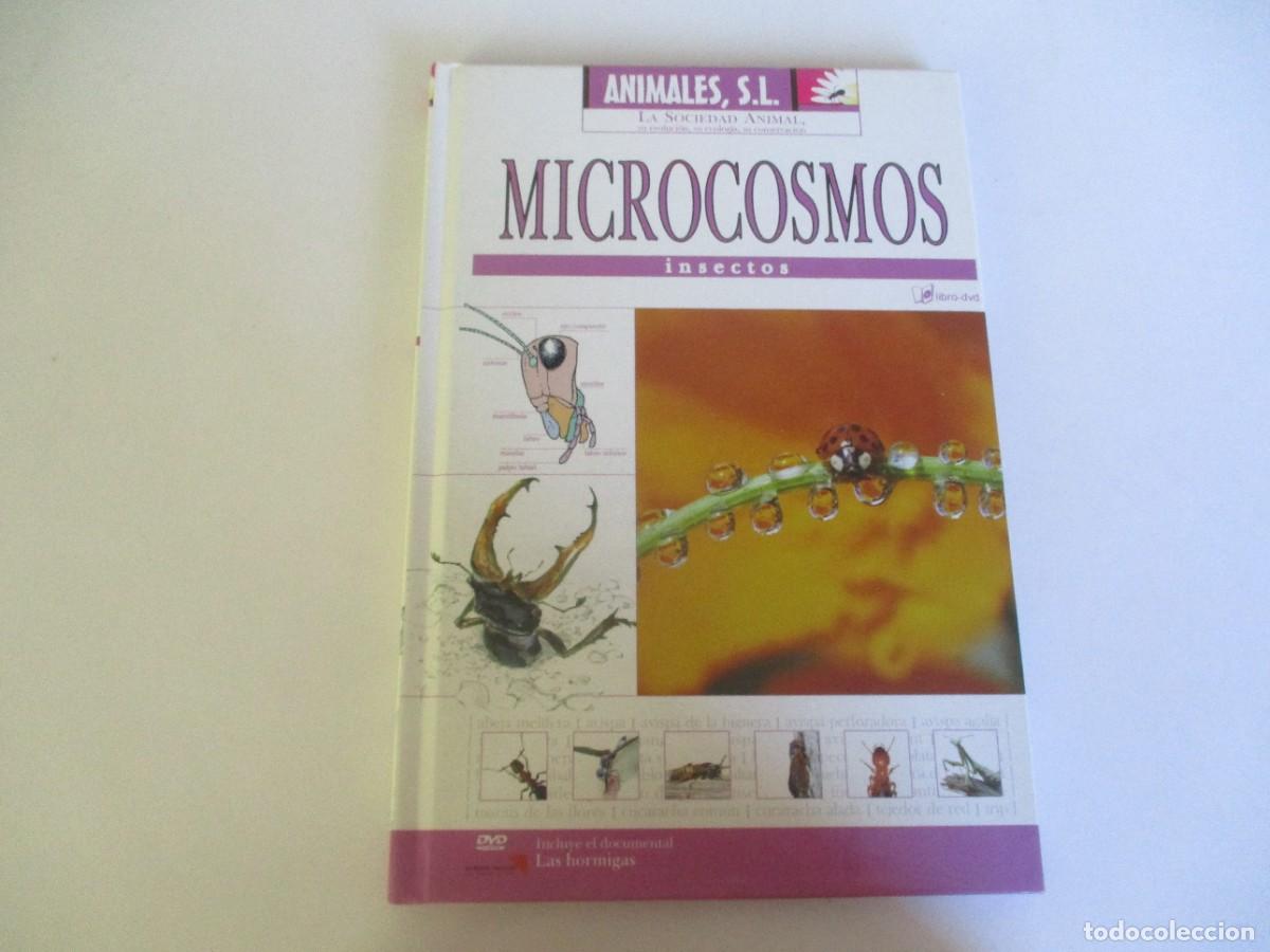 Libros de segunda mano: ANIMALES S.L. Microcosmos. Insectos W22280 - Foto 1