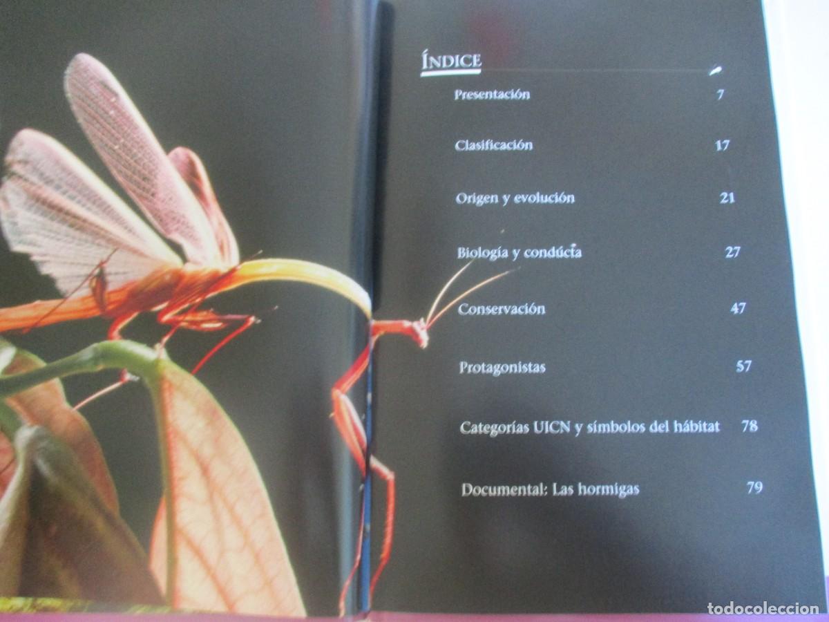 Libros de segunda mano: ANIMALES S.L. Microcosmos. Insectos W22280 - Foto 2