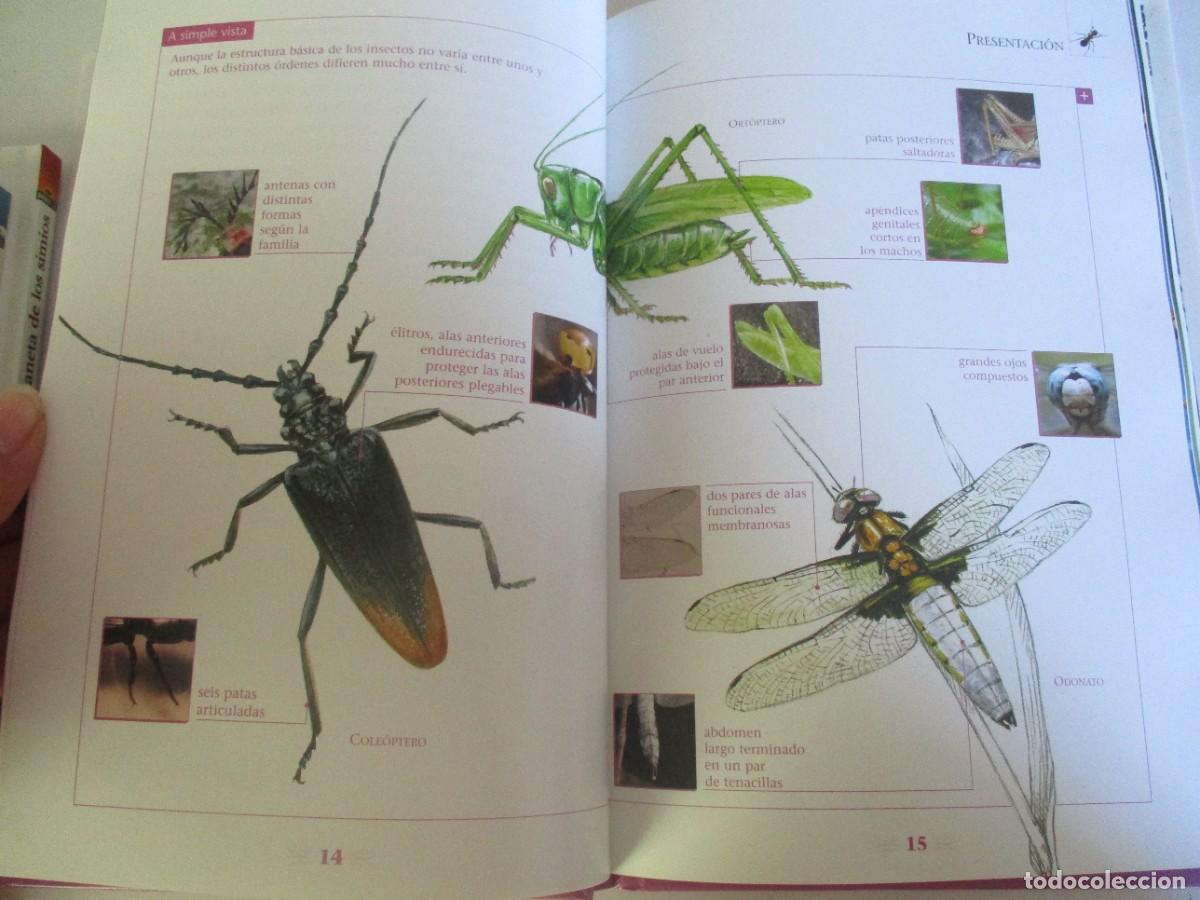 Libros de segunda mano: ANIMALES S.L. Microcosmos. Insectos W22280 - Foto 4